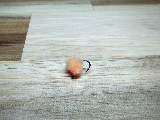 Apricot Egg