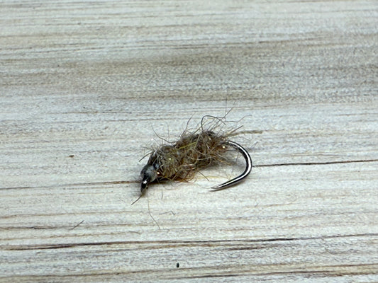 Tan Sowbug